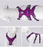 Wasserdichtes Hundegeschirr