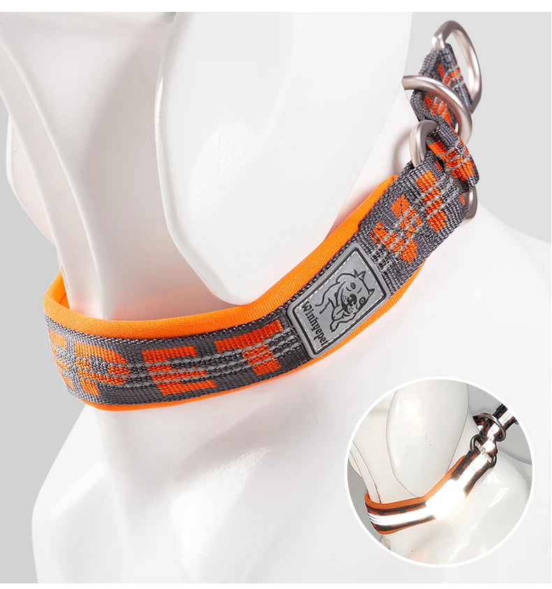 Reflektierendes Hundehalsband