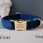 Hochwertiges, personalisiertes Hundehalsband aus blauem Samt