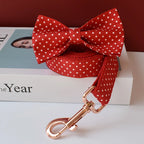 Rotes Hundehalsband mit weißen Flecken