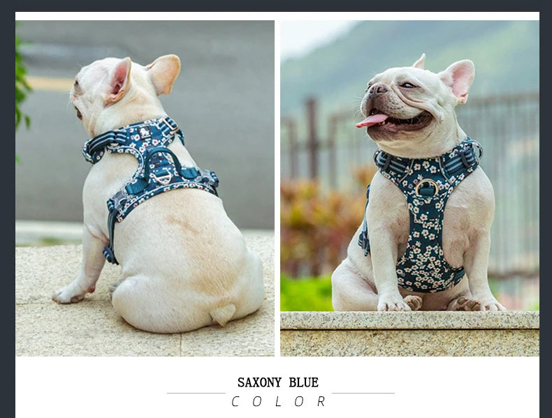 Anti-pull dog harness