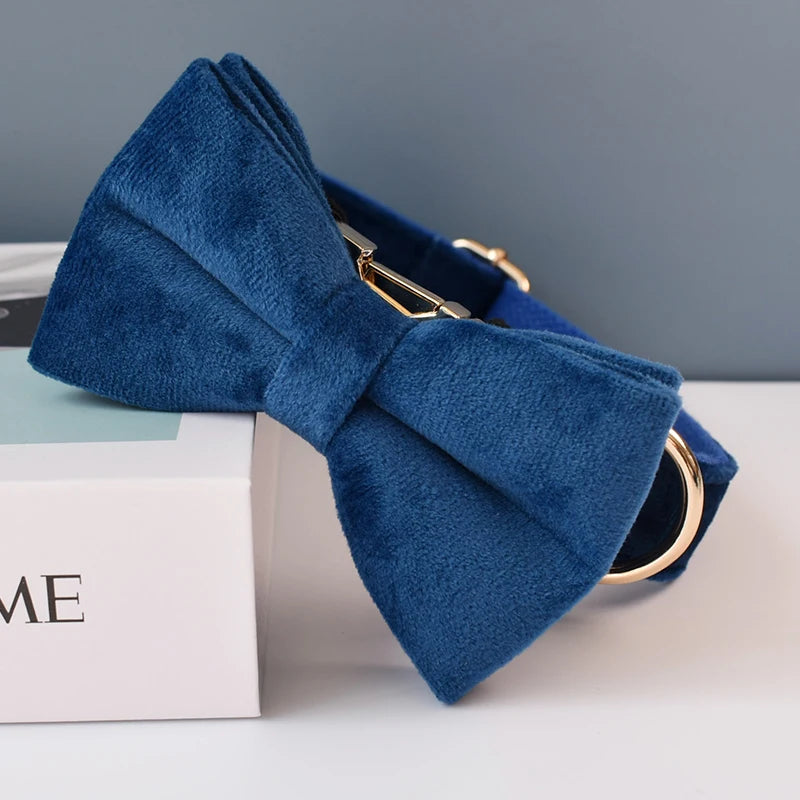 Hochwertiges, personalisiertes Hundehalsband aus blauem Samt