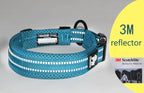 Reflektierendes Hundehalsband