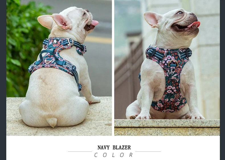 Anti-pull dog harness