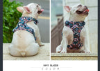 Anti-pull dog harness