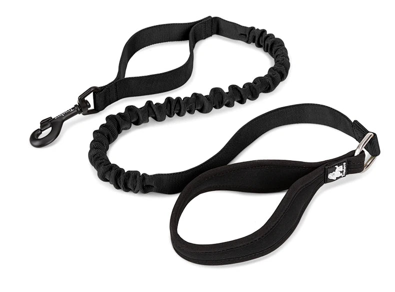 durable dog leash