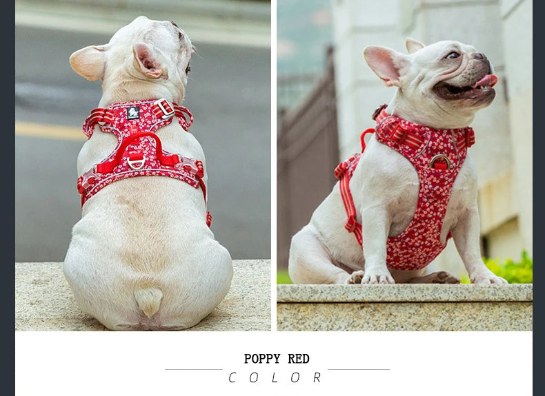 Anti-pull dog harness