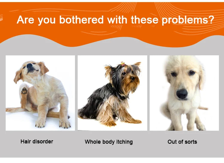 Hundebürste – Langlebige Pflege