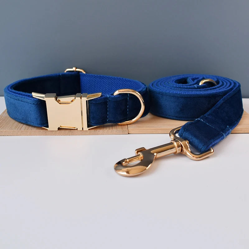 Hochwertiges, personalisiertes Hundehalsband aus blauem Samt