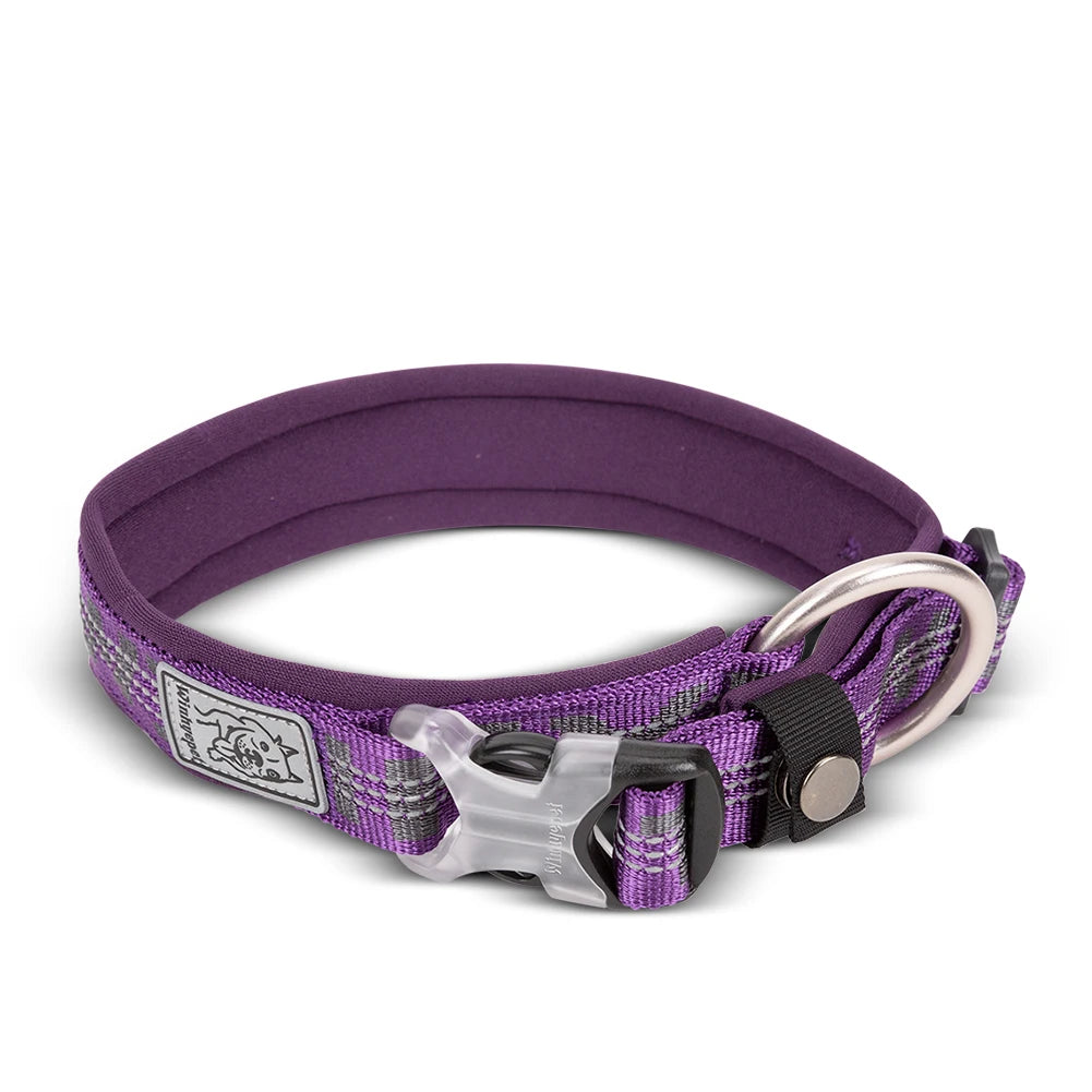 Reflektierendes Hundehalsband