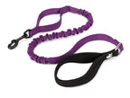 durable dog leash
