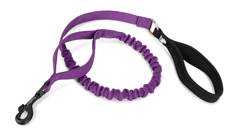 durable dog leash