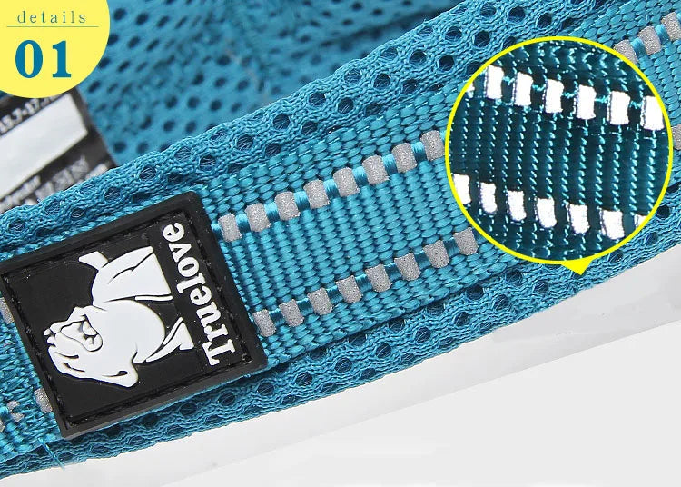 Reflektierendes Hundehalsband