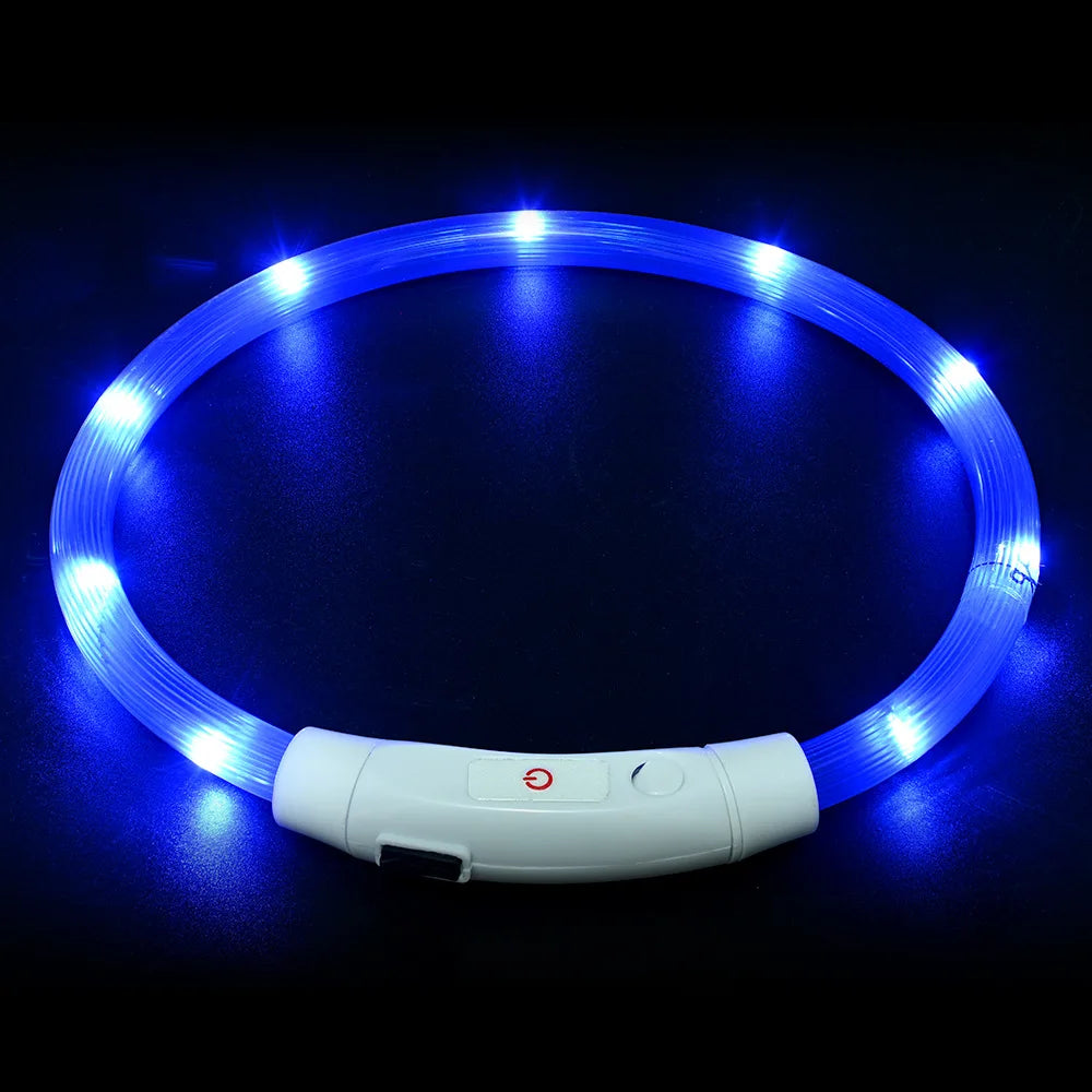 Collier LED-Hunde-USB-Leuchte, wiederaufladbare Nacht 