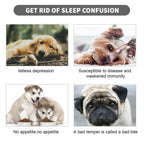 Large Square Plush Dog/Cat Basket