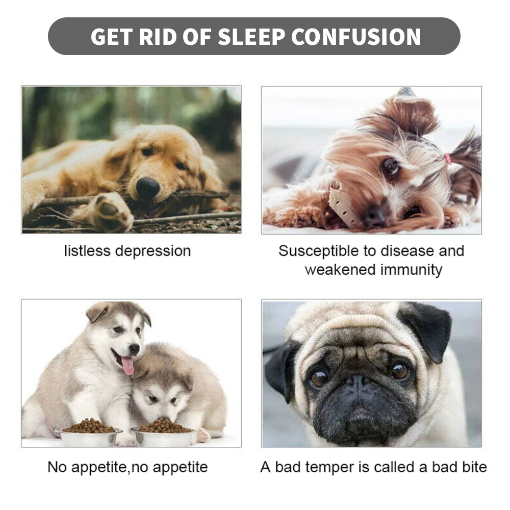 Large Square Plush Dog/Cat Basket