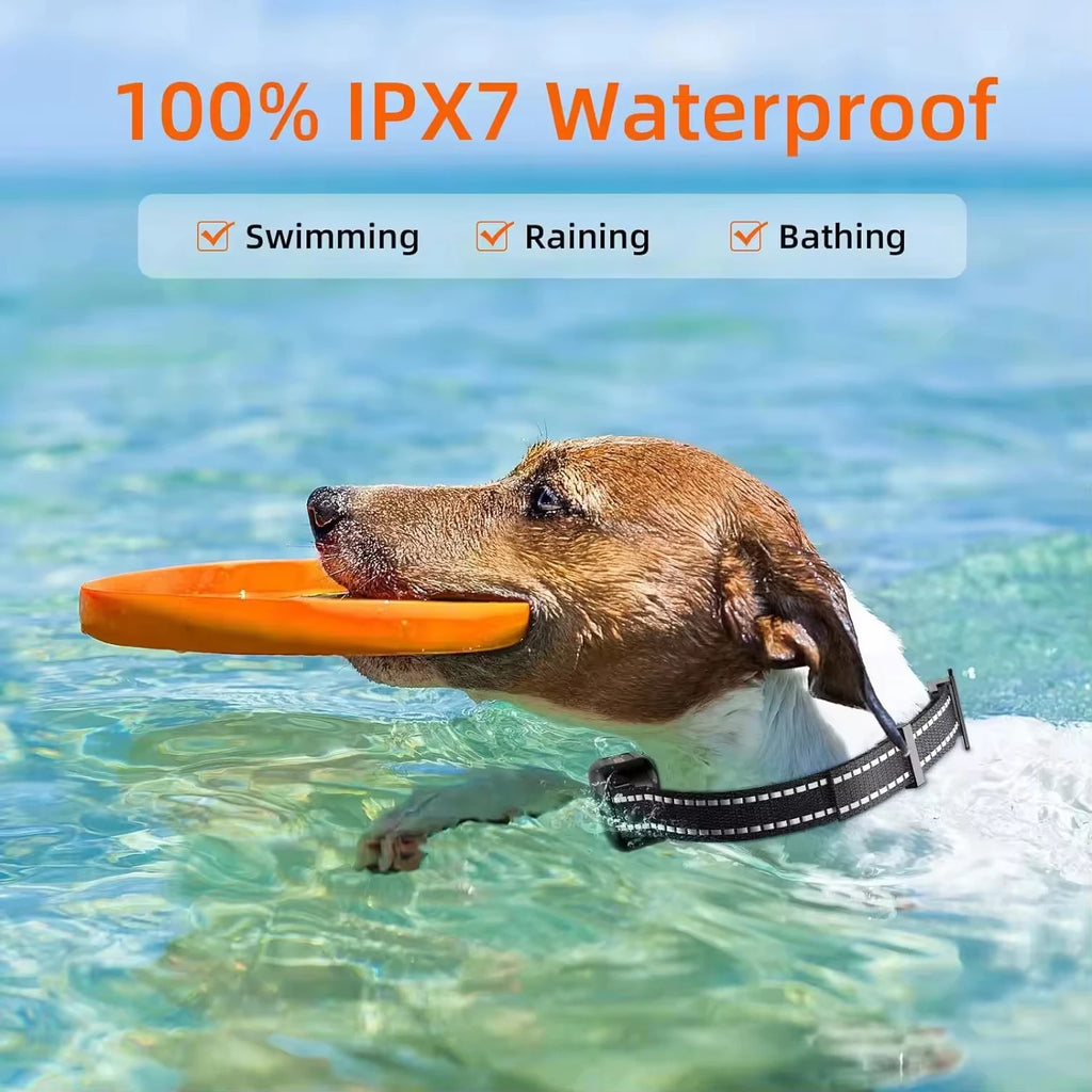 Halsband Hundetraining 1000 m wasserdicht wiederaufladbar