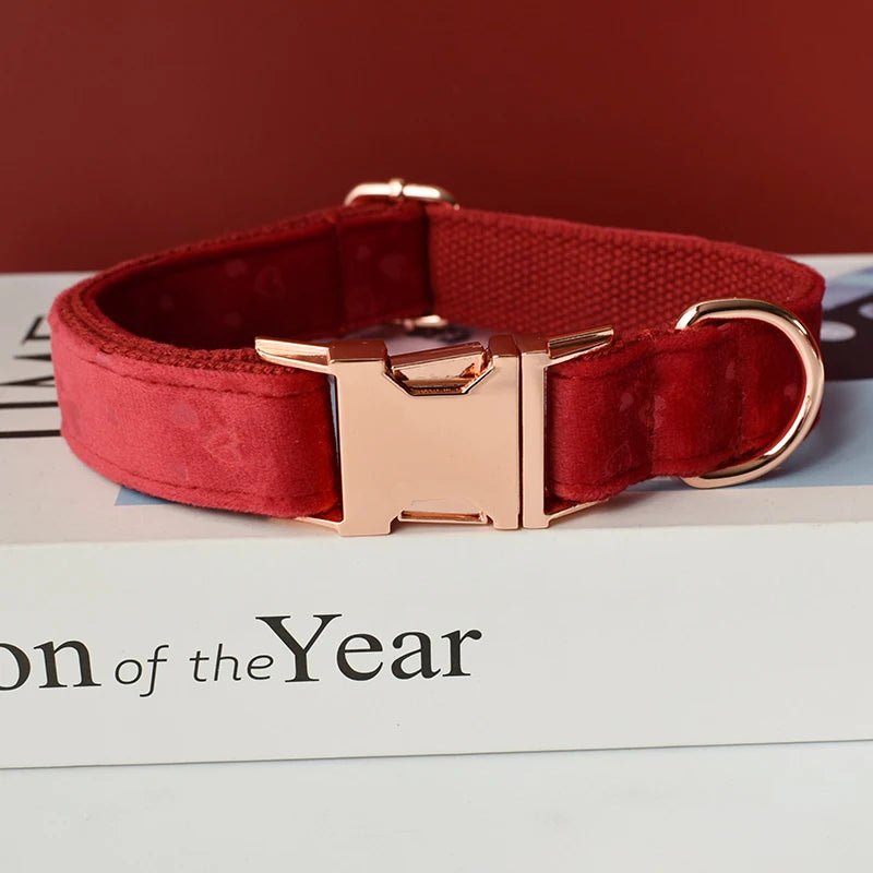 Anpassbares Hundehalsband