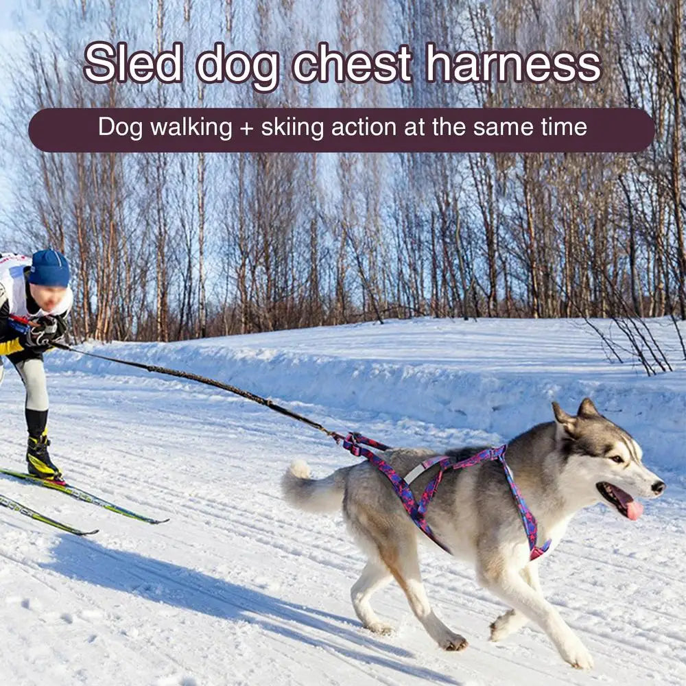 Reflektierendes Hundegeschirr