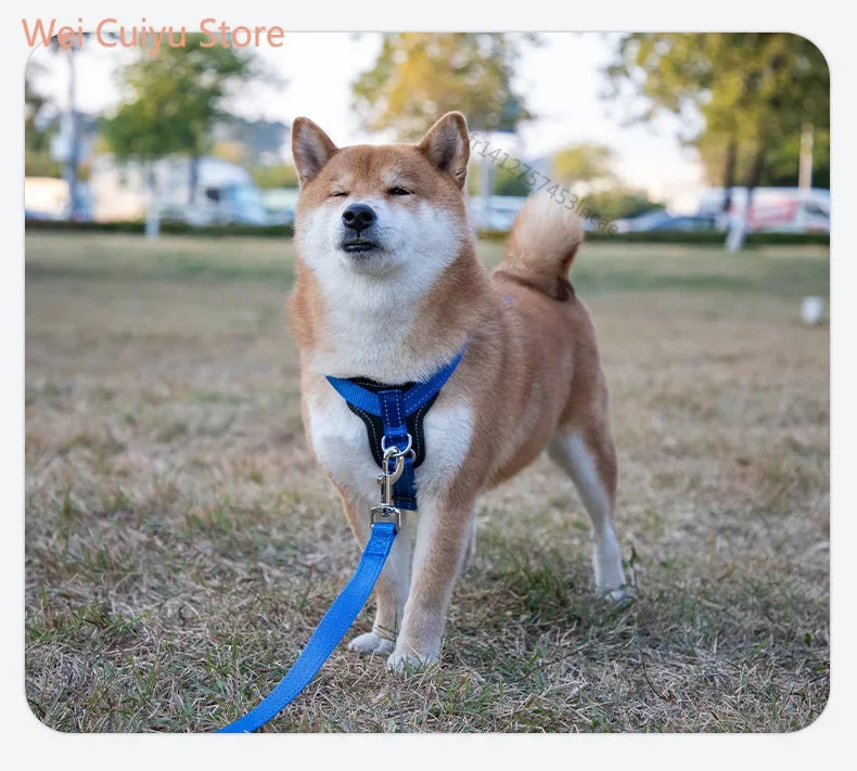 Harnais chien anti-traction