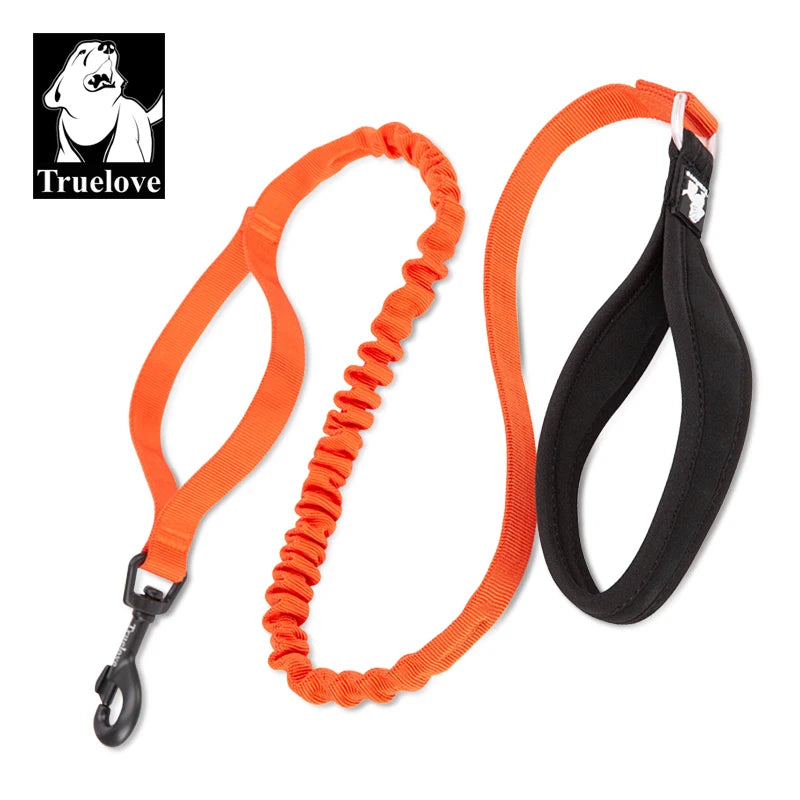 durable dog leash
