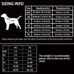 Harnais chien réfléchissant