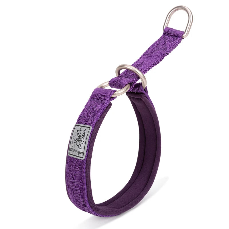 Reflektierendes Hundehalsband