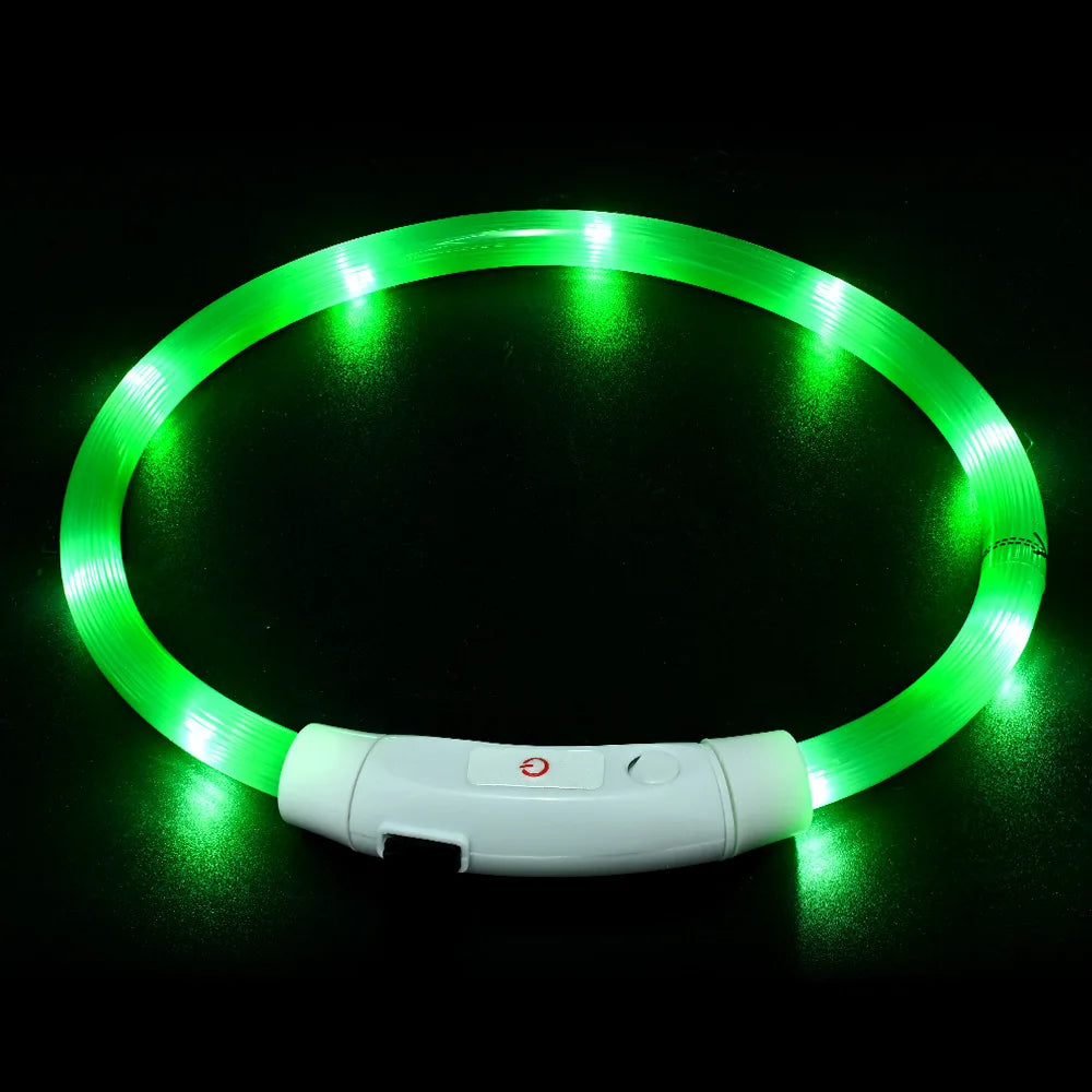 Collier LED-Hunde-USB-Leuchte, wiederaufladbare Nacht 