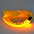 LED dog leash, flashing light, safety at night 