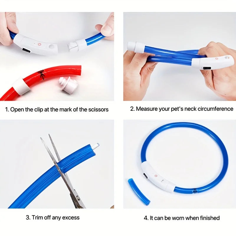Collier LED-Hunde-USB-Leuchte, wiederaufladbare Nacht 