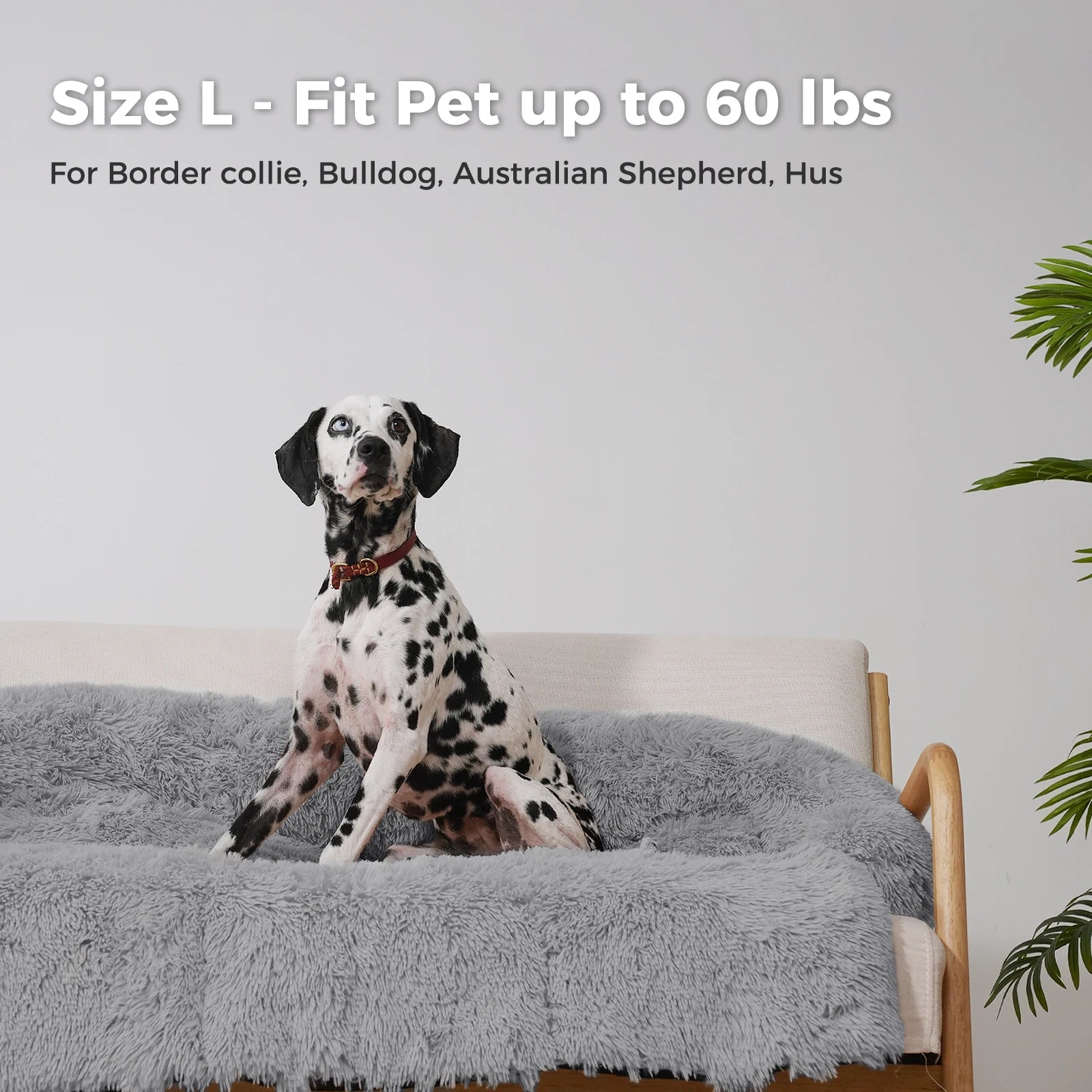 Soft, warm, washable dog/cat bed mat for winter.