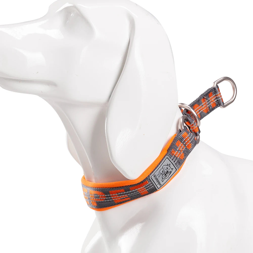 Reflektierendes Hundehalsband