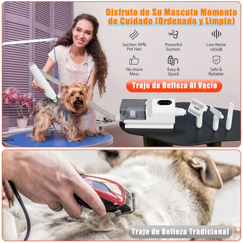 Der Toilettensauger des Hundes chattet bis zum Schluss