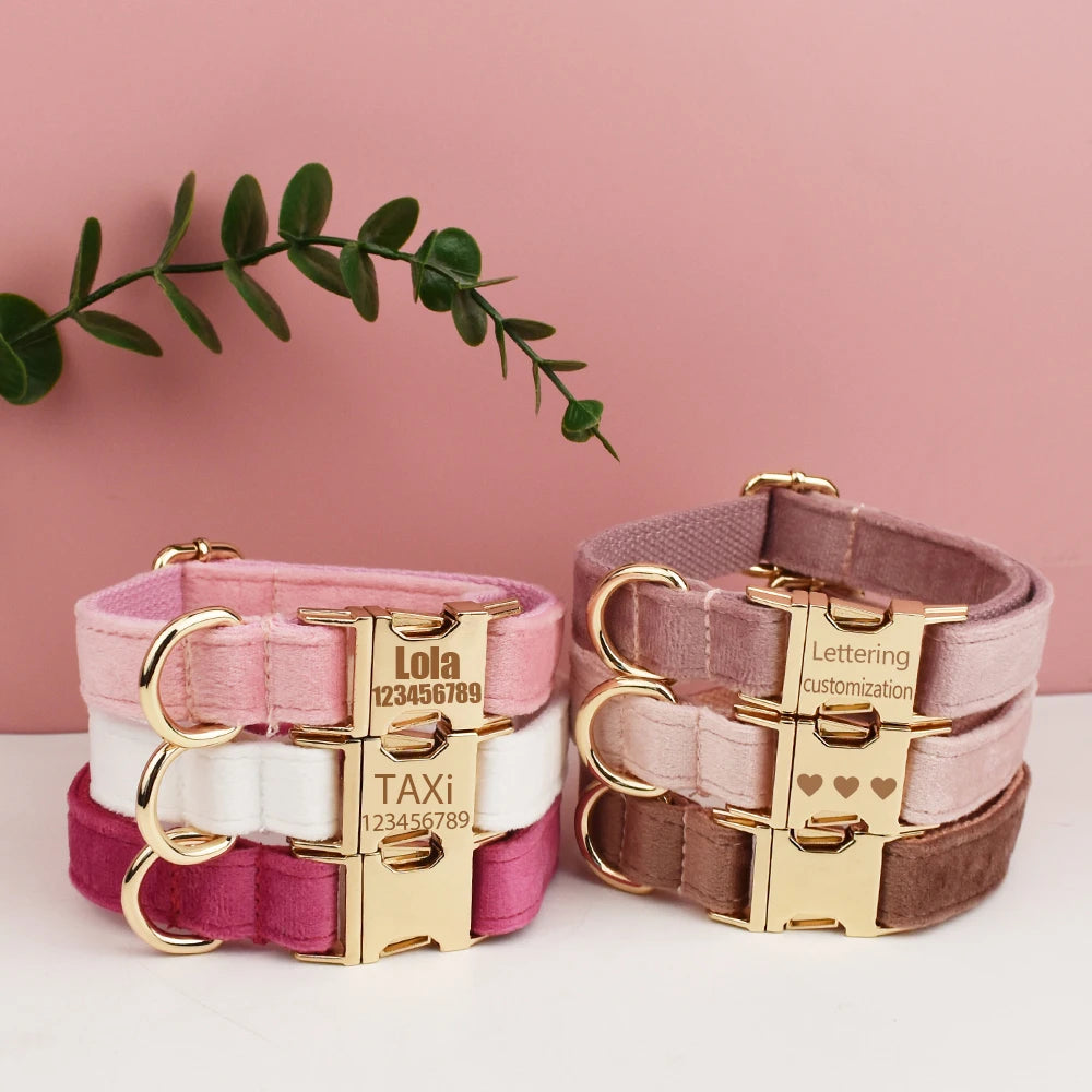 Hochwertiges, graviertes, personalisiertes Samt-Hundehalsband