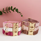 Hochwertiges, graviertes, personalisiertes Samt-Hundehalsband