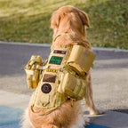 Harnais chien tactique