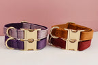 Premium Engraved Personalized Velvet Dog Collar