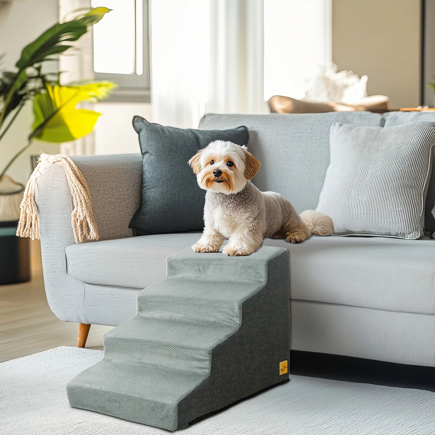 Rutschfeste Treppe für kleine Hunde – Sicherer Zugang zu Sofa und Bett