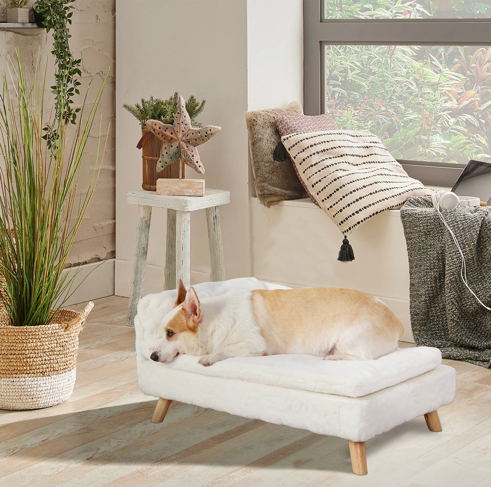 Nordic raised pet bed with waterproof cushion 