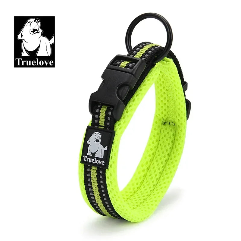 Reflektierendes Hundehalsband