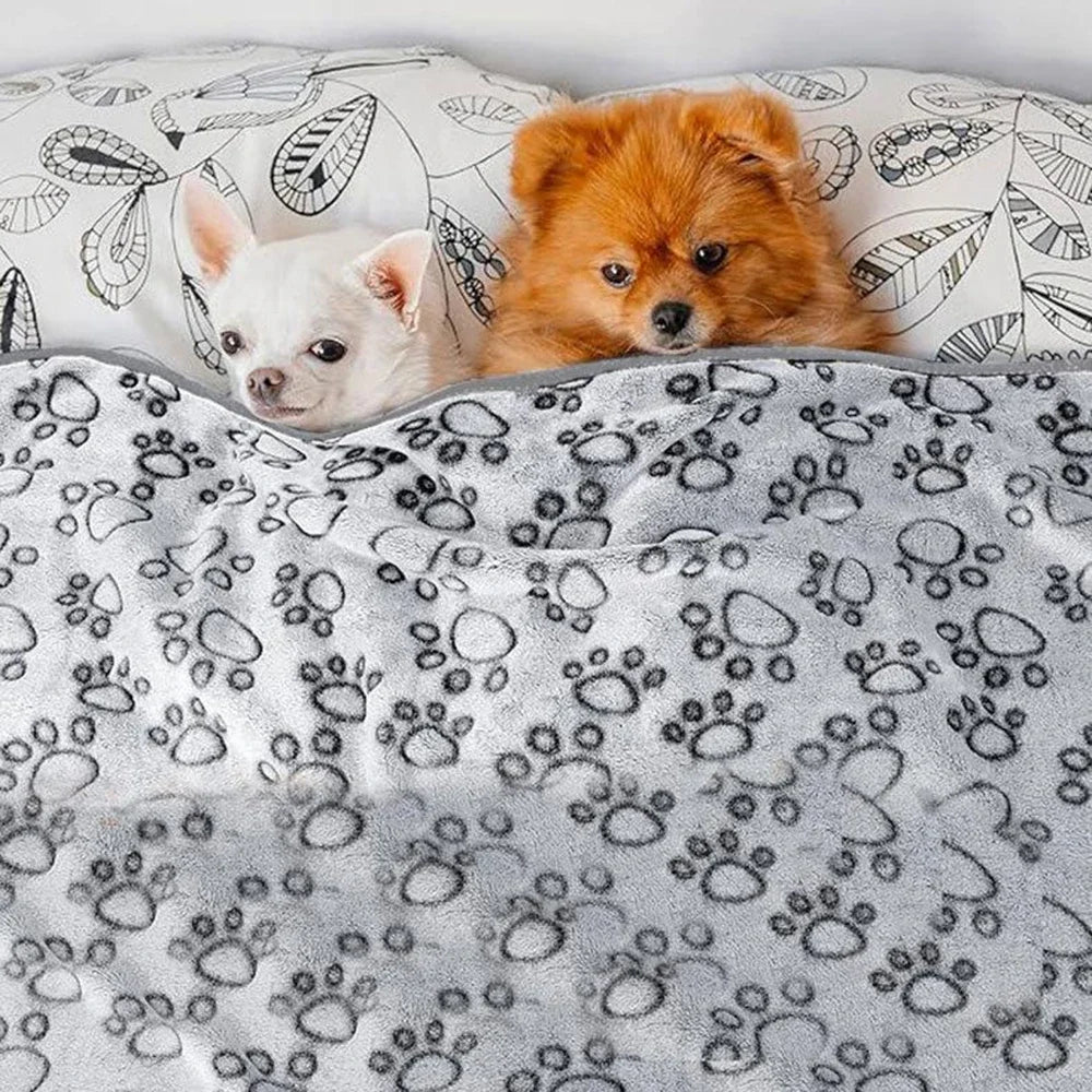 Couverture Chien Chat douce lavable toutes tails 