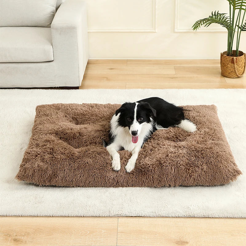 Soft, fluffy, long plush dog/cat bed for dogs and cats.