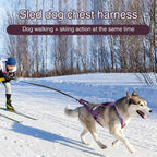 Reflektierendes Hundegeschirr