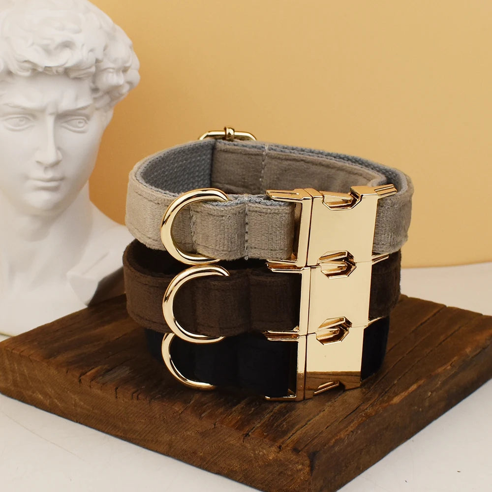 Personalisiertes Samt-Hundehalsband