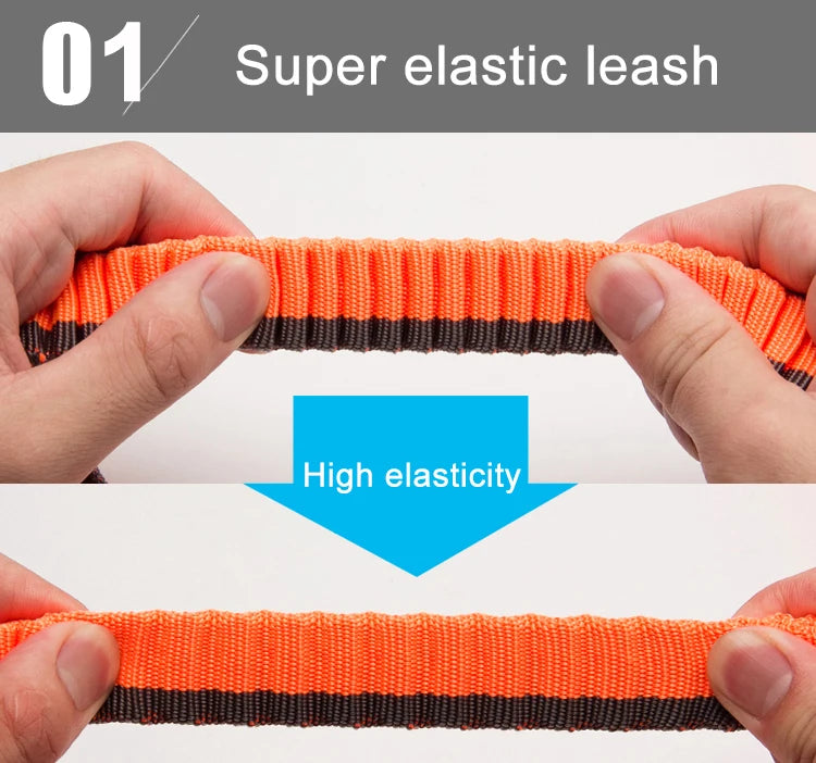Laisse chien durable réfléchissant