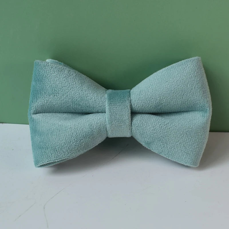 Collier chien velours vert personnalisé premium