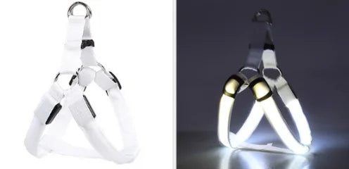 Reflektierendes Hundegeschirr