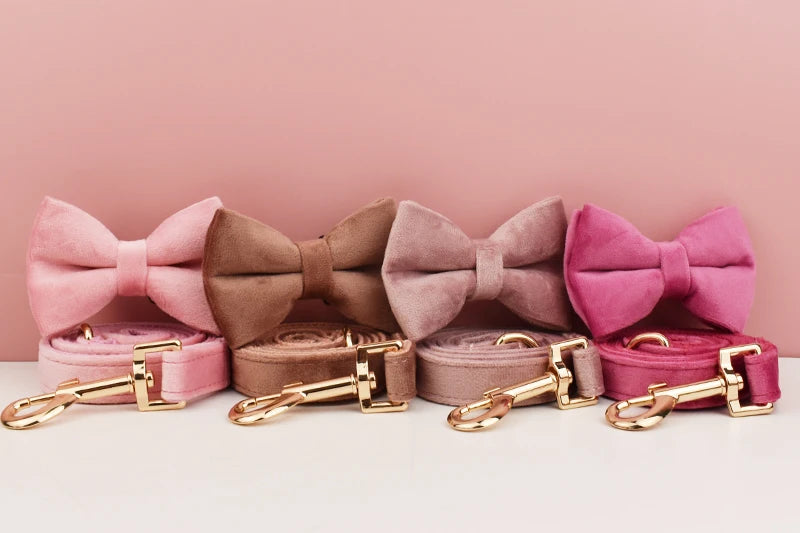 Hochwertiges, graviertes, personalisiertes Samt-Hundehalsband