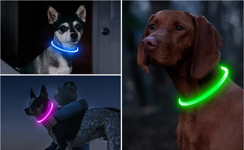Collier LED-Hunde-USB-Leuchte, wiederaufladbare Nacht 