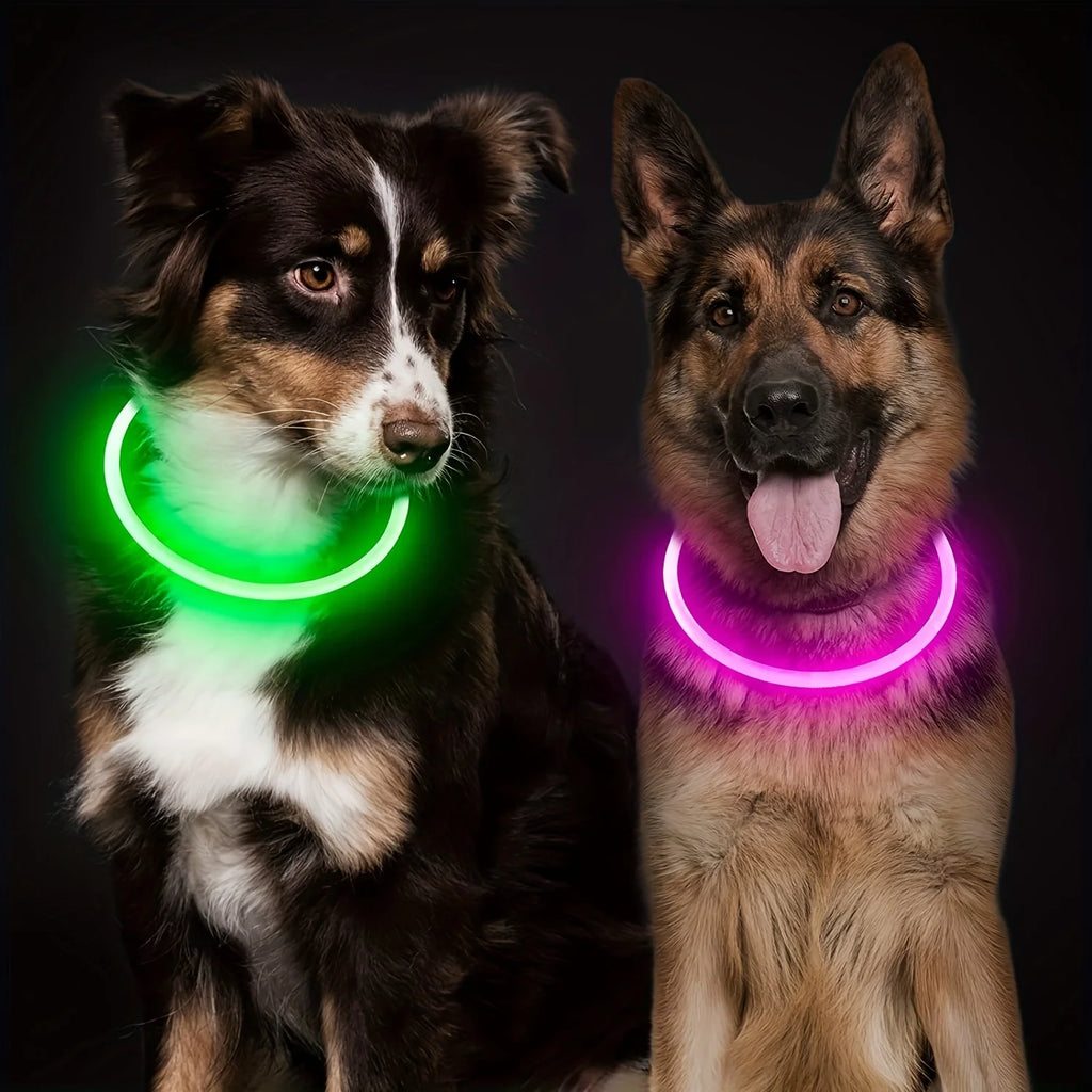 Collier LED-Hunde-USB-Leuchte, wiederaufladbare Nacht 
